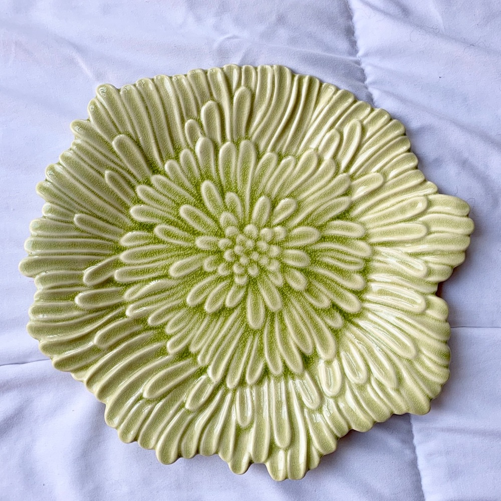 Glass Plant Plates - Picture 7 of 7